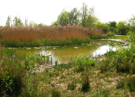 Le parc des Beaumonts - Montreuil